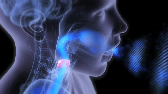 human-voice-صدا